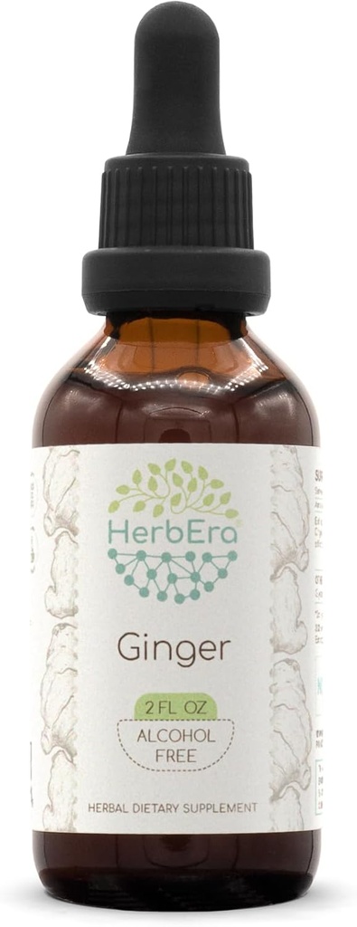 HerbEra Ginger B60 Extracto herbal libre de alcohol Tintura, jengibre superconcentrado (Zingiber officinale) 2 fl oz