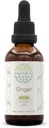 HerbEra Ginger B60 Extracto herbal libre de alcohol Tintura, jengibre superconcentrado (Zingiber officinale) 2 fl oz