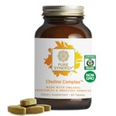 PURE SYNERGY Choline Complex ← Vegan Choline Supplement Made with Organic Whole Foods ← Non-GMO Bioavailable Complex ← for Pregnancy, Brain, and Liver Health (60 Tablets)
