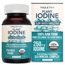 Suplemento Orgánica de Iodine del Complejo Vegetal Marítimo, Comida entera &amp; Forma cruda - Complejo Mineral de Iodine Plus Trace - Contiene el más puro Kelp del Mar islandés, Irlandés Moss & Bladderwrack (250 mcg)
