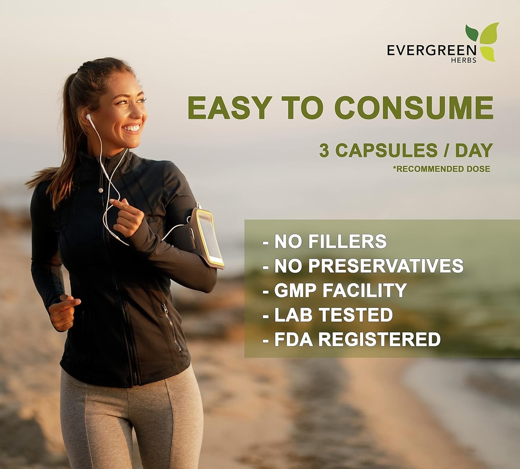 Herbs Evergreen Suplemento Herbal Capsules 90 Conde (Senna Leaf) - Tamper Proof Seal para garantizar la frescura.