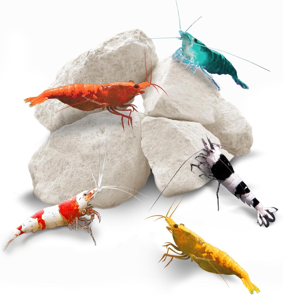 SunGrow Shrimp Rocks, Calcium, Magnesium Rocks for Crayfish, Hermit Crab, Snails, Crustacean Care, Aquarium Decor for Crystal Red, Amano and Ghost Shrimps, Nano Tank Accesorios, Fish Tank Supplies