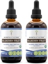 Secretos del extracto líquido libre de alcohol de Tribe Bilberry Fruit, USDA Bilberry orgánica (Vaccinium Myrtillus) Suplemento de Tintura de frutas secas (2x4 FL OZ)