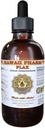 Extracto líquido de Flax, Flax orgánico (Linum usitatissimum) Suplemento de Tintura 4 oz