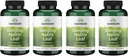 Swanson Stinginging Nettle Leaf (Urtica Dioica) - Herbal Supplement Promoting Urinary Tract &amp; Respiratory Health Support - May Support Healthy Fluid Balance - (120 Capsules) (4 Pack)