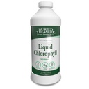 Tesoro enterrado Clorofila líquida 100 mg, Suplemento dietético, Apoyo digestivo intestinal Desodorante del cuerpo natural del alcohol vegano no OMG libre, Sabor 32oz