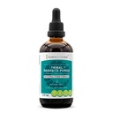 Secrets of the Tribe Tribal Parasite Alcohol-Free Extract, High-Potency Herbal Drops, Tincture Hecho de arándano, ajo, nuez negra, OSHA, Wormwood, Pumpkin. Fórmula 4 oz