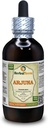 Arjuna (Terminalia Arjuna) Tintura, Extracto líquido de corteza orgánica (Nombre de la marca: HerbalTerra, Proudly made in USA) 4 fl.oz (120 ml)