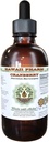 Extracto líquido libre de alcohol de arándano, arándano (Vaccinium Macrocarpon) Dried Berry Glycerite Hawaii Pharm Natural Herbal Suplemento 2 oz