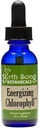 Botánicos de Canción de Nacimientos Energizing Chlorophyll Tincture, Super Concentrated Liquid Chlorophyll Drops, Herbal Energy Support Supplement and Internal Deodorizer, Mint Flavor 1oz Bottle