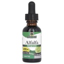 Respuesta de la naturaleza Extracto sin alcohol Alfalfa Herb, 1-Fluid Ounce soporta sistema inmunológico, sangre, digestión, niveles de energía - Ayuda con desintoxicación