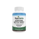 Real Herbs Stinging Nettle Root Extract 7500mg (750mg de 10:1 Extracto) – Vegetarian Friendly, Non-GMO, Gluten-Free – Apoya la salud de la próstata y orina – 100 cápsulas