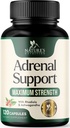 Suplementos de Apoyo Adrenal Complejo Cortex, Mejor Suplemento Energético, apoya los niveles de salud y energía de Cortisol, Daily Ashwagandha for Women &amp; Men, apoya el sistema Adrenal Fatigue & Immune, 120 cápsulas