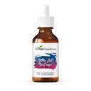 Herbal Goodness Bitter Pero sin Crap Suplemento líquido para la limpieza corporal, el apoyo energético y la salud Boost ¦ Non-GMO Burdock Root Organic, Bitter Melon, Maca Root, Dandelion Root - 2 fl. oz por Bottle