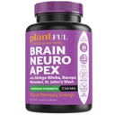 Suplemento Nootropic Brain For Focus, Energy, Memory & Clarity Booster TEN Fast Absorption Brain Vitamins For Adults – Nootropics Pills With Ginkgo Biloba, St Johns Wort, Bacopa Monnieri