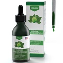 Chlorophyll Liquid Drops - 100% Natural Energy Booster and Immune Support - Interna Deodorant y Detox - Alivio de la enfermedad de Altitud - Absorción rápida, Vegan & No GMO - 120 Servimientos (Pack of 1)