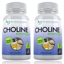 Premium Choline - 500 mg - 120 Veggie Capsules - Supports Cognitive Health, Memory &amp; 2 Pack
