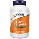 AHORA Alimentos Suplementos, Enzimas vegetales con Lactasa, Protease, Papain y Bromelain, 240 cápsulas de Veg