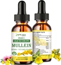 Mullein Drops for Lungs, Lung Detox &amp; Cleanse for Smoker, Organic Mullein Leaf Extract for Lungs w. Elderberry, Ginger, Mullein Tincture Alcohol Gratis para Respiratory Lung Health 2 FL/OZ