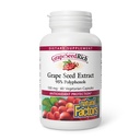 Factores naturales - GrapeSeedRich Grape Seed Extract, Antioxidant Support, 60 cápsulas vegetarianas