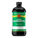 Bernard Jensen's 100% Puro Natural Chlorophyll Flavor Líquido Suplemento tóxico Promociona Alkaline Ph Silencio Ayuda a limpiar la sangre TEN 16 Fluid Ounce (474 ml)