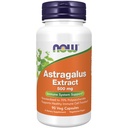 AHORA Foods Immune Support Supplements, Astragalus Extract 500 mg (Standardized to 70% Polysaccharides), 90 Veg Capsules