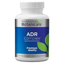 Suplemento de Complejo Adrenal Profesional Botánico – Apoya Función Adrenal Saludable, Alivio del Estrés y Niveles de Energía – 90 cápsulas vegetarianas