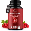 Suplemento de circulación sanguínea, 120 cápsulas, apoya el Veinte Legislativo, corazón, vasos y salud cardiovascular con Niacina, L-Arginina, Ginger, Cayenne Pepper, Hawthorn, Diosmin, Blood Flow Pills