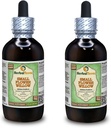 Pequeña flor sauce (Epilobium parviflorum) Glicérite, hierba seca extracto líquido libre de alcohol (Marca: HerbalTerra, Proudly Made in USA) 2x4 fl.oz (2x120 ml)