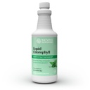 Sunshine Liquid Chlorophyll - Immunity Support, Detox &amp; Cleanse, Chlorophyll Liquid Drops with Spearmint Oil, Natural Energy Boost, Internal Deodorant - 16 Fl Oz