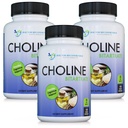 DOCTOR RECOMENDADO SUPPLEMENTS Premium Choline - 500 mg - 120 Veggie Capsules Soporta Salud Cognitiva, Memoria &amp; Más - 3 Pack
