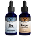 WellnessOne Ionic Liquid Zinc " Liquid Copper - Zinc-Copper Bundle to Support Immune System " Joint, Nerve & Bone Health - 1.67 fl oz Zinc " Copper Liquid Drops