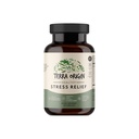 TERRA ORIGIN Healthy Stress Supplement TEN 60 Capsules TEN KSM-66 Organic Ashwagandha, L-Theanine, Rhodiola Extract, Astragalus Root and Holy Basil TEN Stress and Mood Support