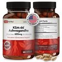 DailyNutra KSM-66 Ashwagandha 600mg Extracto Orgánico de raíces - Suplemento de alta potencia con 5% Withanolides viv Alimenta la Cansancio, apoya la relajación, el enfoque, la energía, el crecimiento muscular (60 cápsulas)