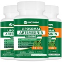 Liposomal Artemisinina Suplemento 1000mg, Sweet Wormwood Extract with 200mg Quercetin Phytosome, Maximum Absorption for Antioxidant 180 Capsules