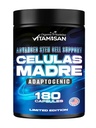 VITAMISAN Celulas Madres 180 Capsules - Stem Cell Blue Green Algae - Non GMO -Gluten Free AFA -Celula Madre Supplement - Lion's Mane Beta Glucan Supports Healthy Aging &amp; Promotes Immune Spirulina.