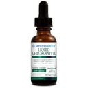 Ciencia Aprobada Clorofila líquida - 2 fl. Oz. - 60 mg CloroAbsorb - Resumen de hoja de mora - Energizar el cuerpo - Apoyo digestivo e inmune - Desodorante natural y detox - Vegan - Hecho en los EE.UU.