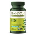 Banyan Botanicals Neem Tablets – Organic Neem Leaf (Azadirachta Indica) – Apoya la desintoxicación natural, la piel sana y la salud inmune* – 90 Tablets – Non-GMO Sosteniblemente Fuente Vegan