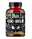 Hierbas Ox Bile con Enzimas Digestivas " Pre/Probióticos 90 Veg Caps Acid Cholic, Inulin, Betaine HCl, Peppermint, Bromelain Digestión saludable " Absorción de nutrientes - Suplemento de Saltas Bilas