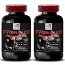 Aumentar la unidad sexual - TRIBULUS TERRESTRIS EXTRACT - Extracto de Tribulus terrestris para la fuente de energía, píldoras de impulso sexual para hombres y mujeres, píldoras de impulso sexual, Libido booster - 2 Botellas 180 Tablets