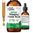 Wild &amp; Organic Stinging Nettle Root Drops - Stinging Nettle Extract Tintura para Hombres &amp; Mujeres - Liquid Urtica Dioica Suplemento - Vegan, Azúcar &amp; Sin alcohol - 2 fl oz