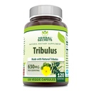 Herbal Secrets Tribulus 630 Mg 120 Veggie Capsules Suplemento Silencio No Gluten Libre Silencio Made in USA