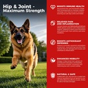 Hip y suplemento conjunto de perros - Alivio de dolor de perro Anti Inflamatorio con Glucosamina, Condroitina, MSM, Turmérica, Vitamina E, Omega 3 - Treats Hip Dysplasia, artritis - All Large Small Medium Breed