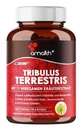 Amalth Tribulus Terrsestris, 20:1 Extracto Por Serving, Potency Highest con Ashwagandha, Saw Palmetto, Shilajit 120 Capsules