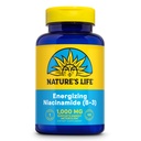 Niacinamida de la vida de la naturaleza, Vitamina B3 1000mg - Alta potencia, sin suplemento de niacina Flush - Función nerviosa, Energía y Metabolismo Soporte - Garantía de 60 días - 100 servicios, 100 tabletas