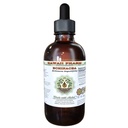 Extracto líquido libre de alcohol, Echinacea (Echinacea Angustifolia) Ratón seco Glicérite Hawai Pharm Natural Herbal Suplemento 2 oz