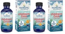 Nordic Naturals Niños DHA Xtra, Berry Punch - 2 oz para Niños - 880 mg Total Omega-3 con EPA & DHA - Función Cognitiva &amp; Inmunitaria, Aprendizaje, Desarrollo Social - No GMO - 48 Servimientos (Pack de 2)