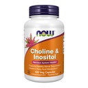 AHORA Suplementos de alimentos, Choline " Inositol 500 mg, Transmisión sana de nervios*, Salud del sistema nervioso*, 100 cápsulas