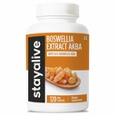 STAY ALIVE Boswellia Serrata Extract Capsules 1000mg con AKBA y 65% Boswellic Acid, 12:1 Resin Extract Powder, 120 Cuenta para 2 meses de suministro, non-GMO y suplemento Boswellia libre de gluten