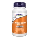 AHORA Suplementos de alimentos, L-Carnosina (Beta-Alanyl-L-Histidine) 500 mg, Envejecimiento saludable, 50 cápsulas de verduras